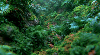 Dense green nature landscape